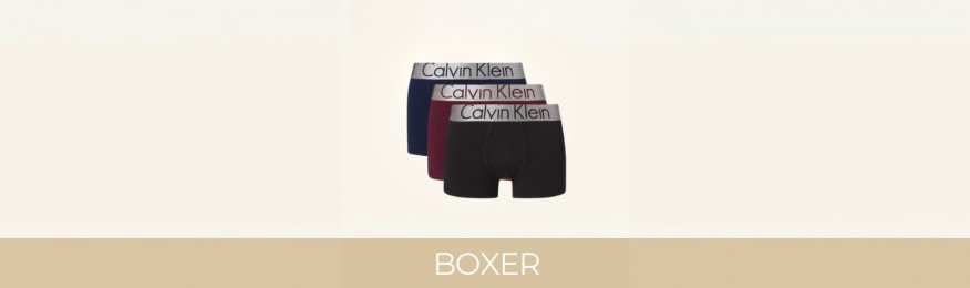 Buy Boxers CK Calvin Klein | All articles at Le-Bourgeois